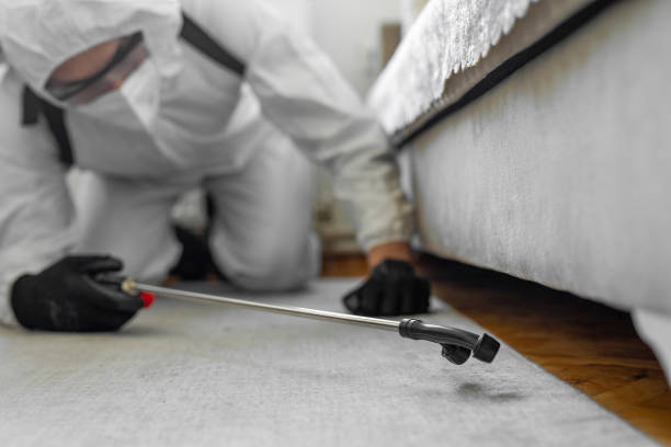 Professional Bed Bug Control technician working in Baldwinville, MA