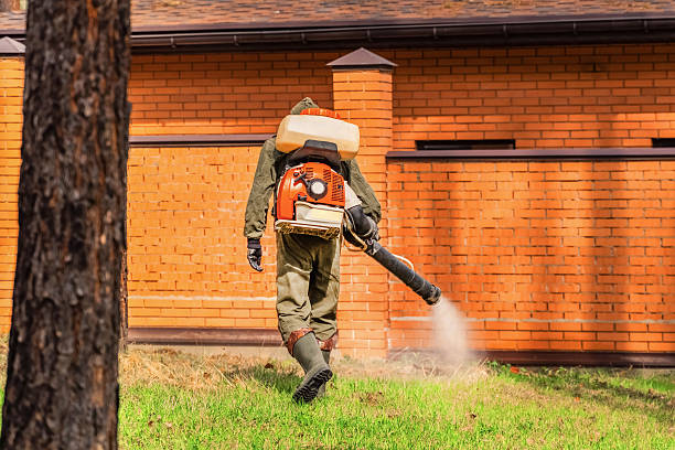 Trusted Termite Control service in Baldwinville, MA - Nex Pest Control